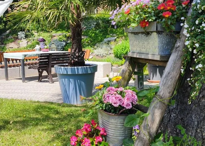 Apartment Im Gruenen Mit Anbindung Ans Zentrum