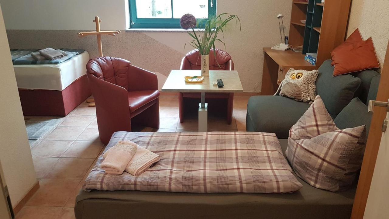 Im Gruenen Mit Anbindung Ans Zentrum Apartment