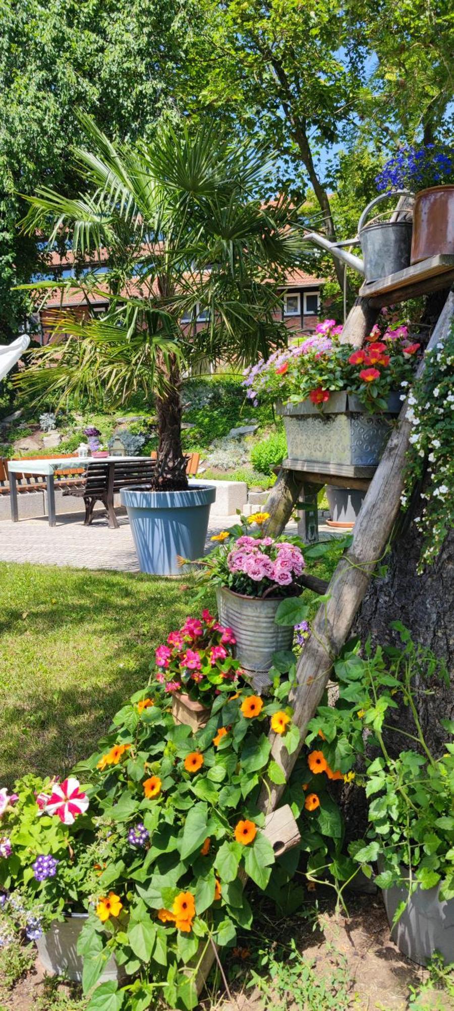Im Gruenen Mit Anbindung Ans Zentrum Apartment Erfurt